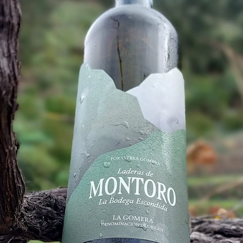 Bodega Montoro vinos