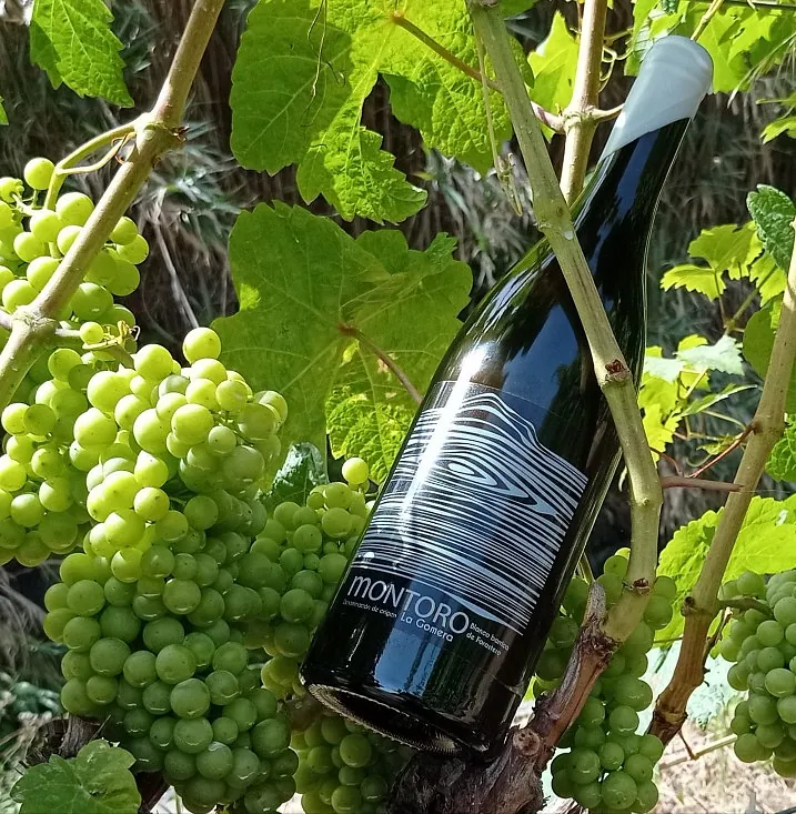 Bodega Montoro vinos