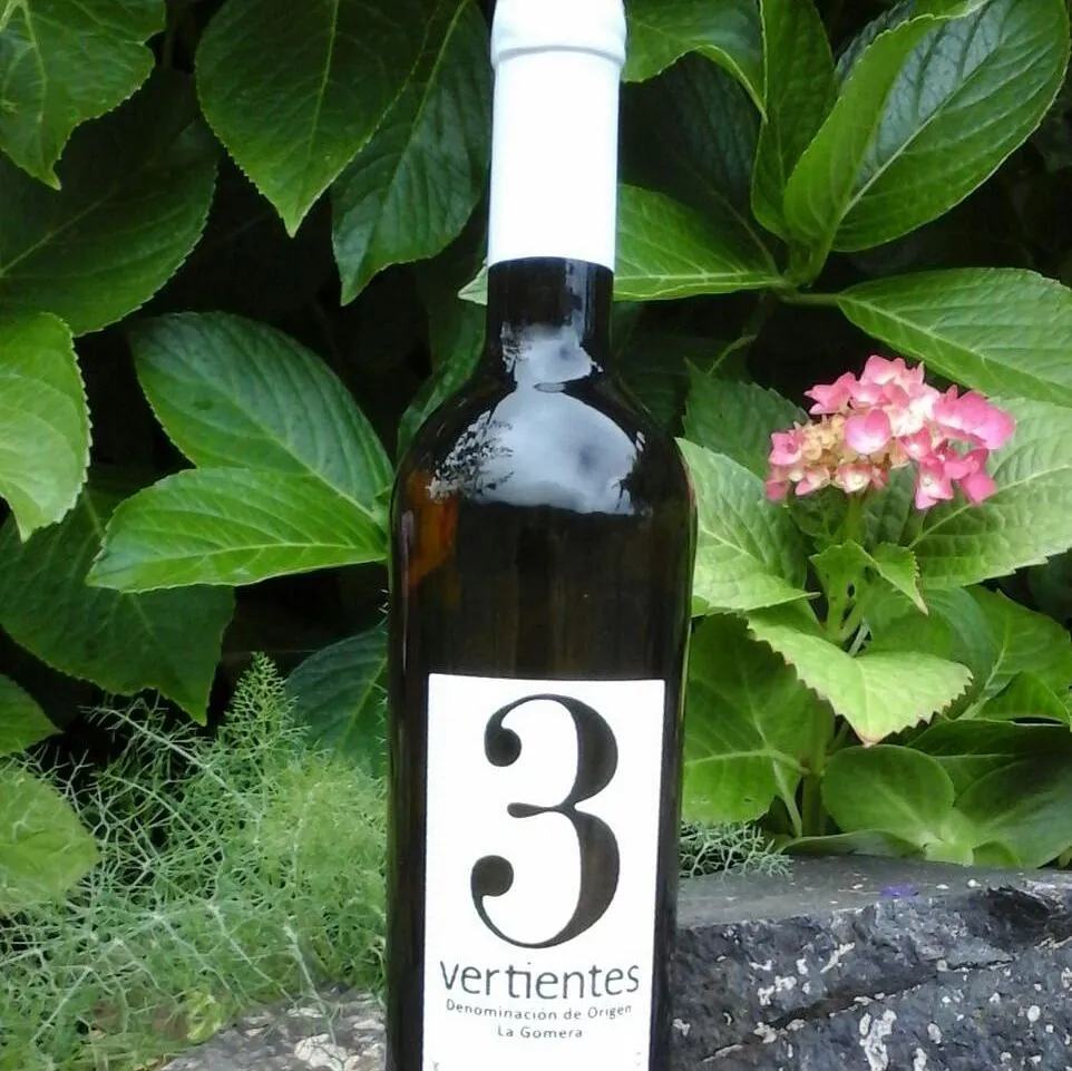 Bodega Montoro vinos