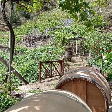 Bodega Montoro vinos